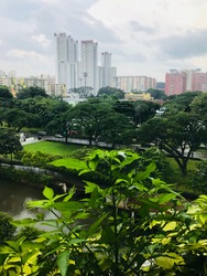 The Crest (D3), Condominium #172031202